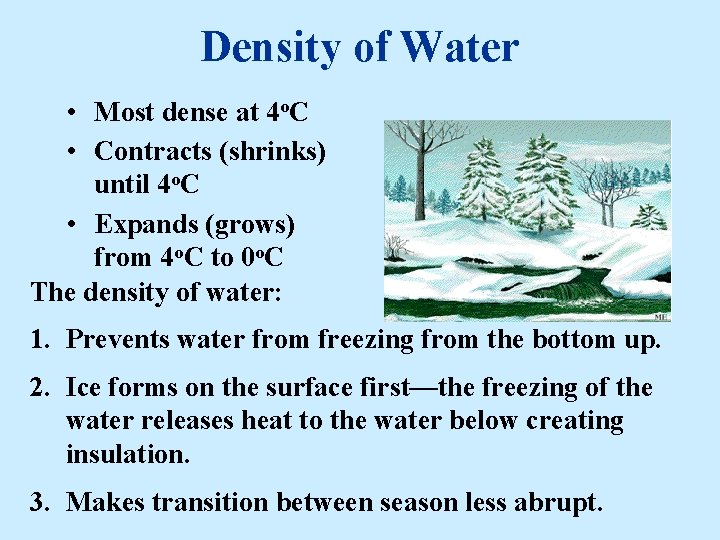 Density of Water • Most dense at 4 o. C • Contracts (shrinks) until