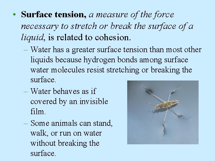  • Surface tension, a measure of the force necessary to stretch or break