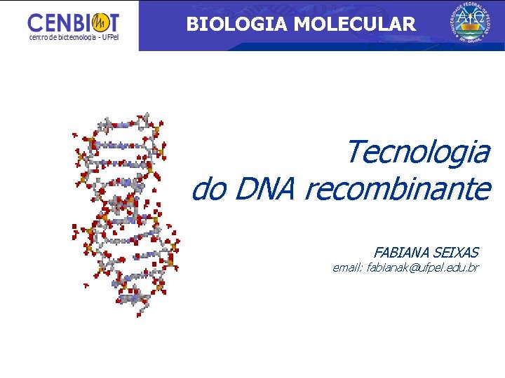 BIOLOGIA MOLECULAR Tecnologia do DNA recombinante FABIANA SEIXAS email: fabianak@ufpel. edu. br 