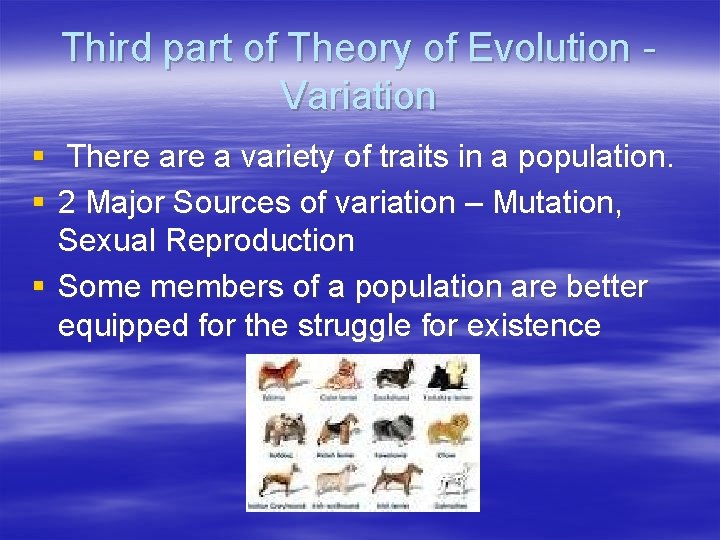 Third part of Theory of Evolution Variation § There a variety of traits in
