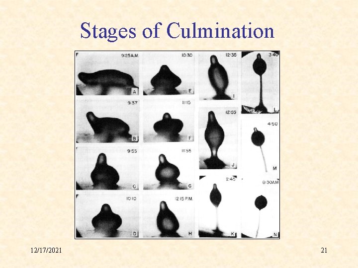 Stages of Culmination 12/17/2021 21 