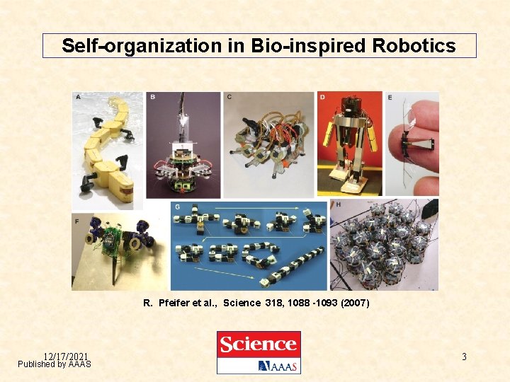 Self-organization in Bio-inspired Robotics R. Pfeifer et al. , Science 318, 1088 -1093 (2007)
