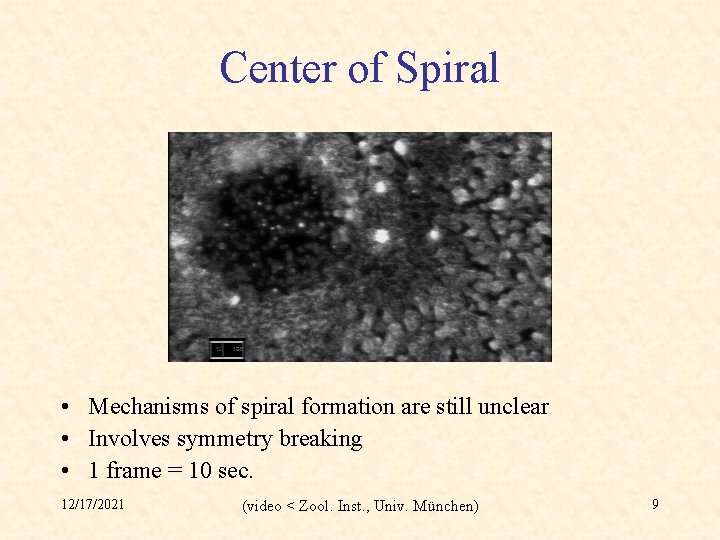 Center of Spiral • Mechanisms of spiral formation are still unclear • Involves symmetry