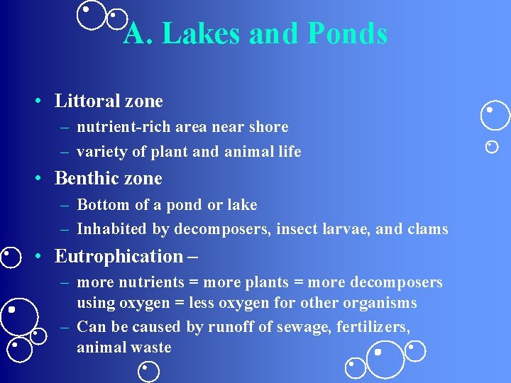 A. Lakes and Ponds • Littoral zone – nutrient-rich area near shore – variety