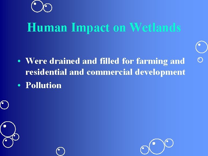 Human Impact on Wetlands • Were drained and filled for farming and residential and