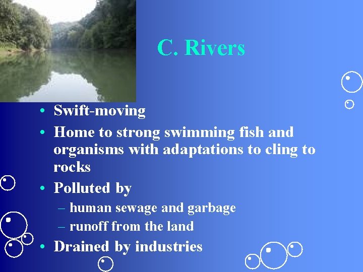 C. Rivers • Swift-moving • Home to strong swimming fish and organisms with adaptations