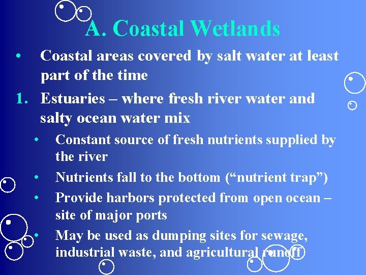 A. Coastal Wetlands • Coastal areas covered by salt water at least part of