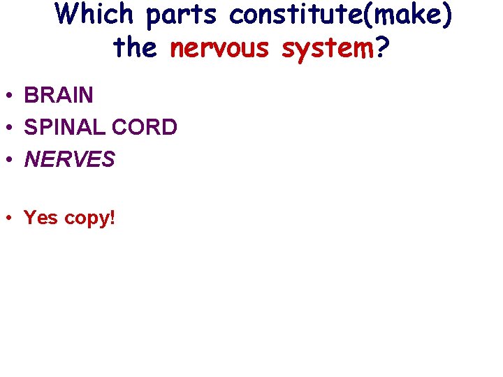 Which parts constitute(make) the nervous system? • BRAIN • SPINAL CORD • NERVES • Which parts constitute(make) the nervous system? • BRAIN • SPINAL CORD • NERVES •