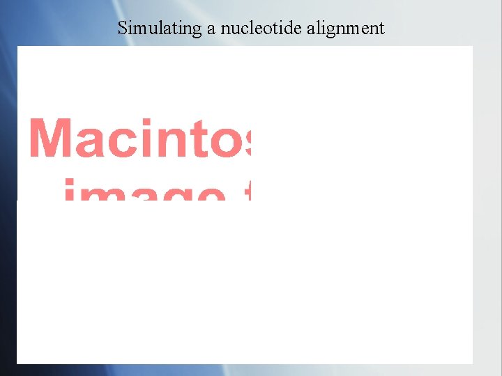 Simulating a nucleotide alignment T = 100 L = 77 