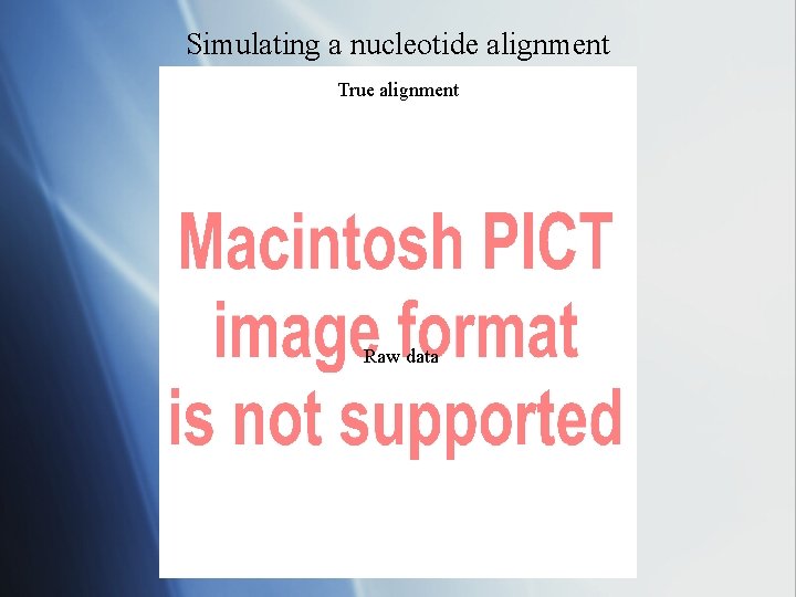 Simulating a nucleotide alignment True alignment Raw data 