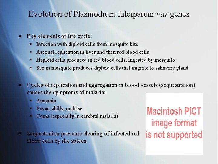 Evolution of Plasmodium falciparum var genes § Key elements of life cycle: § §