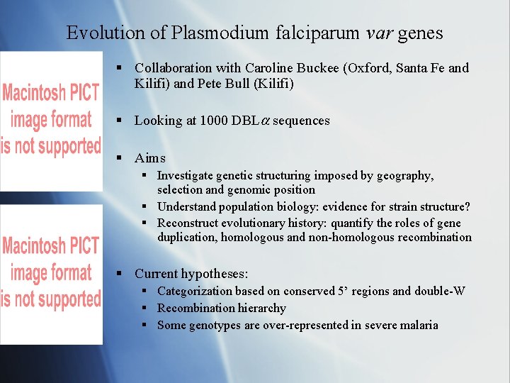 Evolution of Plasmodium falciparum var genes § Collaboration with Caroline Buckee (Oxford, Santa Fe