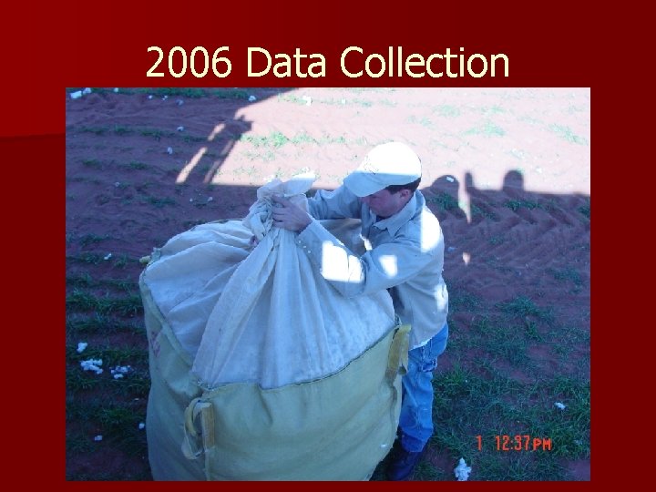 2006 Data Collection 