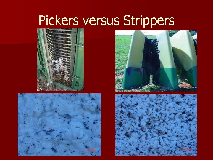Pickers versus Strippers 