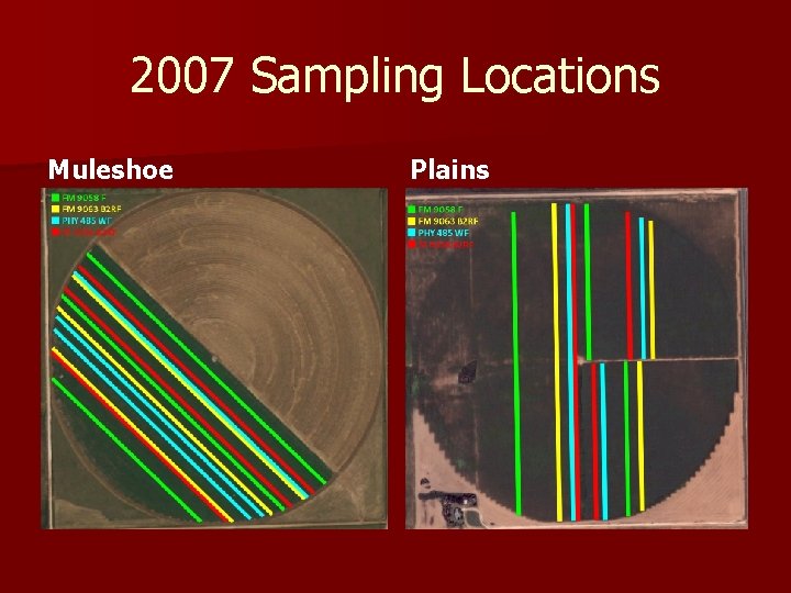 2007 Sampling Locations Muleshoe Plains 
