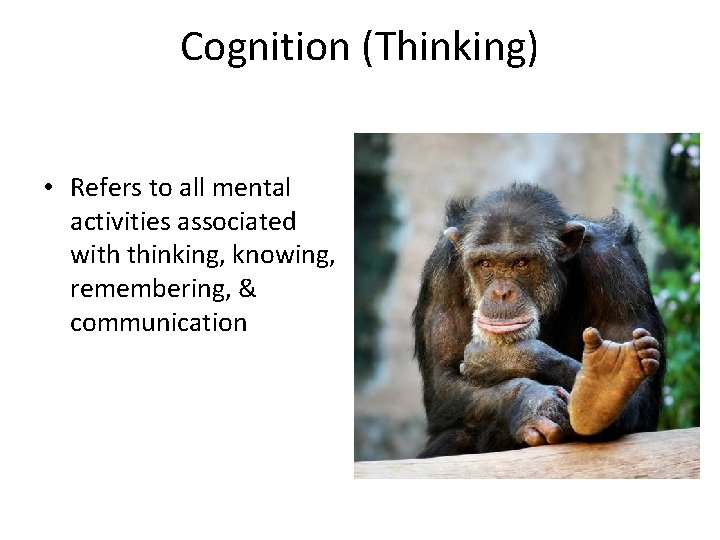 Cognition (Thinking) • Refers to all mental activities associated with thinking, knowing, remembering, &