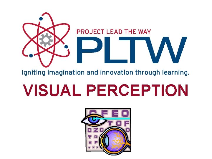 VISUAL PERCEPTION 