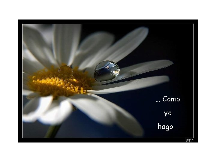 … Como yo hago … 