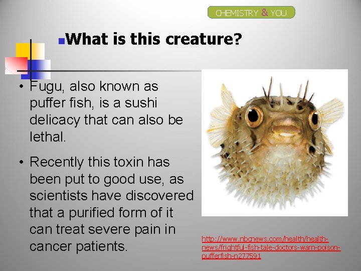 CHEMISTRY n & YOU What is this creature? • Fugu, also known as puffer