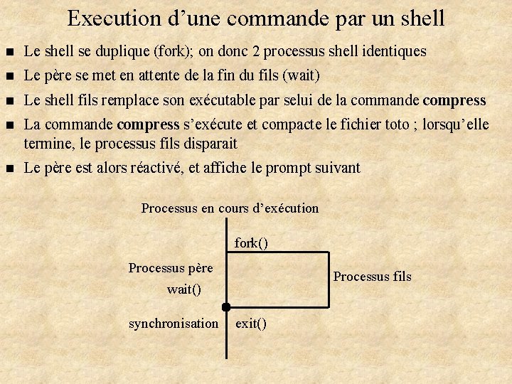 Execution d’une commande par un shell n Le shell se duplique (fork); on donc