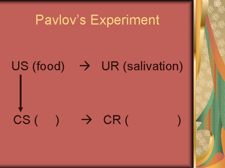 Pavlov’s Experiment US (food) UR (salivation) CS ( CR ( ) ) 