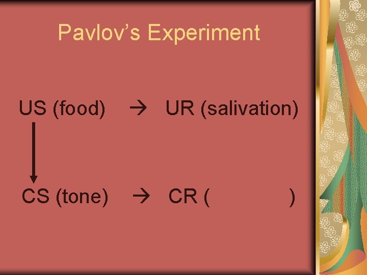Pavlov’s Experiment US (food) UR (salivation) CS (tone) CR ( ) 