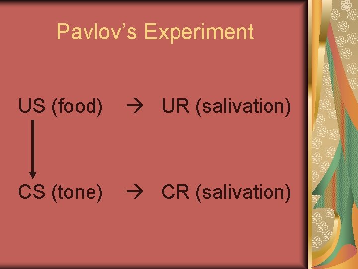 Pavlov’s Experiment US (food) UR (salivation) CS (tone) CR (salivation) 