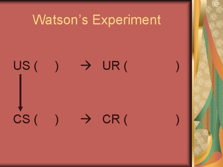 Watson’s Experiment US ( ) UR ( ) CS ( ) CR ( )