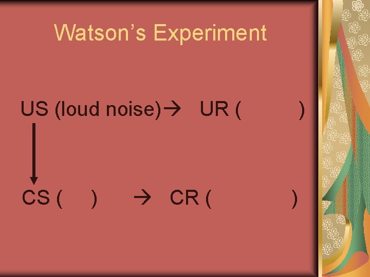 Watson’s Experiment US (loud noise) UR ( CS ( ) CR ( ) )