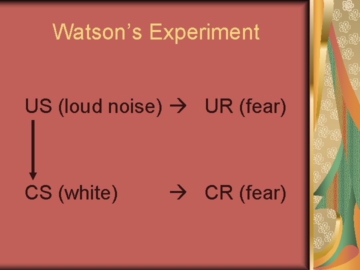 Watson’s Experiment US (loud noise) UR (fear) CS (white) CR (fear) 