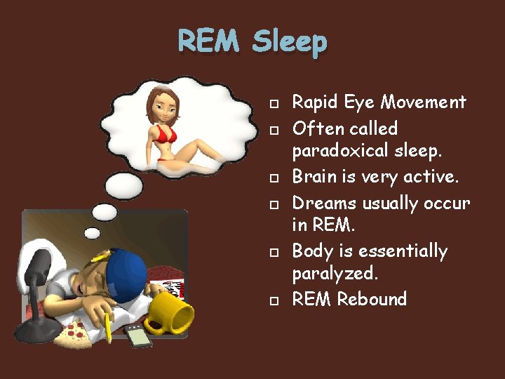 REM Sleep Rapid Eye Movement Often called paradoxical sleep. Brain is very active. Dreams