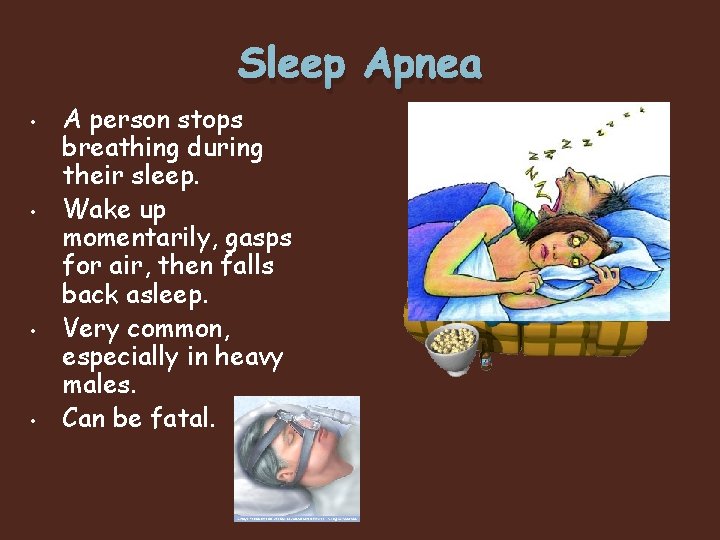 Sleep Apnea • • A person stops breathing during their sleep. Wake up momentarily,