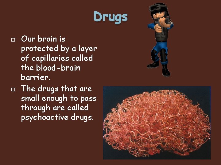 Drugs Our brain is protected by a layer of capillaries called the blood-brain barrier.