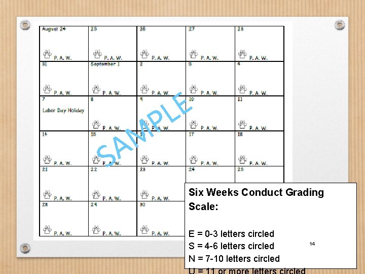 S E L M A P Six Weeks Conduct Grading Scale: E = 0