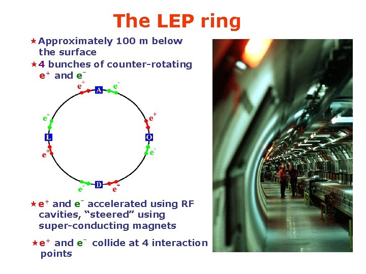 The LEP ring «Approximately 100 m below the surface « 4 bunches of counter-rotating