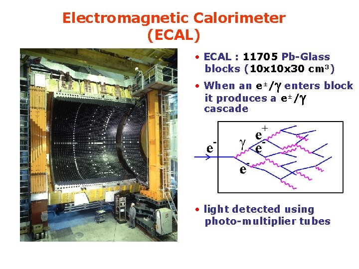 Electromagnetic Calorimeter (ECAL) • ECAL : 11705 Pb-Glass blocks (10 x 30 cm 3)