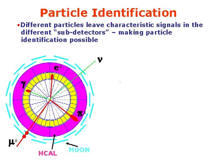 Particle Identification • Different particles leave characteristic signals in the different “sub-detectors” – making