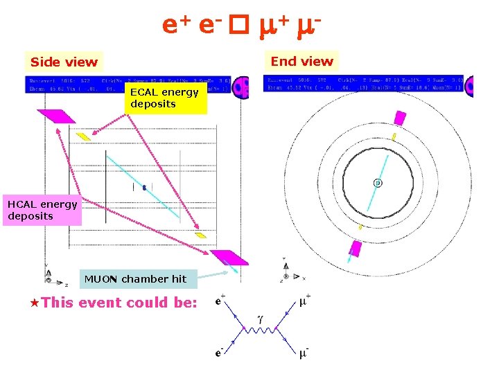 e+ e- m+ m. End view Side view ECAL energy deposits HCAL energy deposits