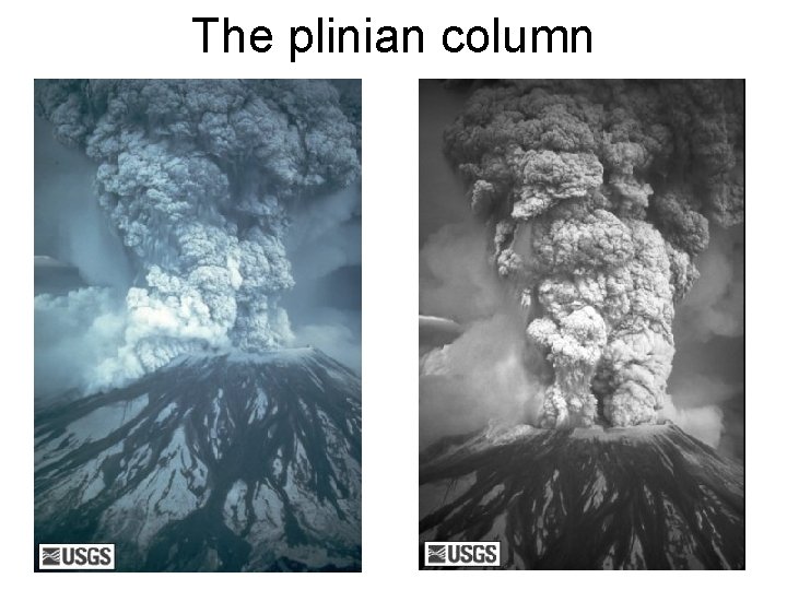 The plinian column 