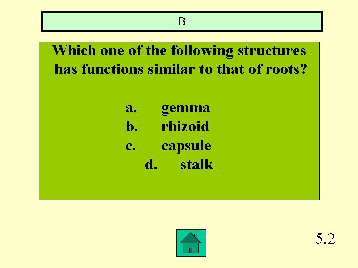 B Which one of the following structures has functions similar to that of roots?