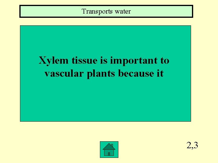 Transports water Xylem tissue is important to vascular plants because it 2, 3 