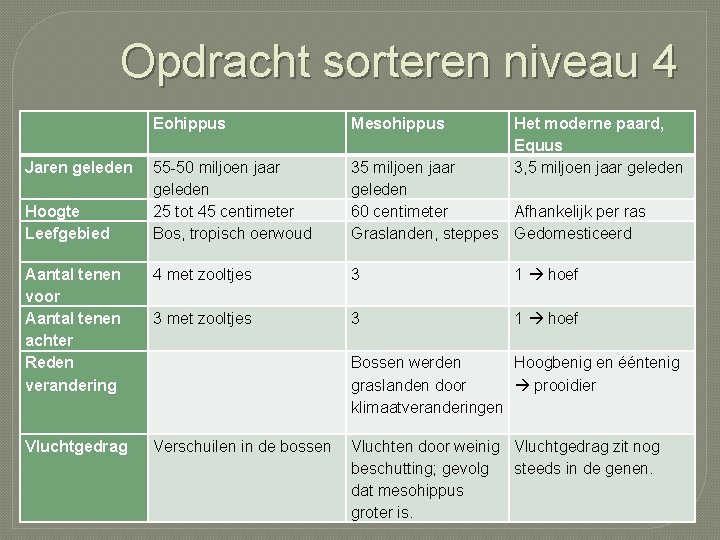 Opdracht sorteren niveau 4 Eohippus Mesohippus 55 -50 miljoen jaar geleden 25 tot 45