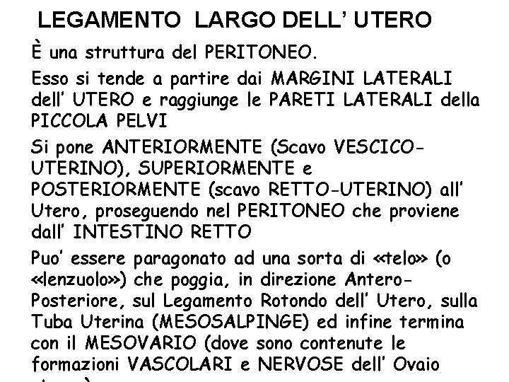 LEGAMENTO LARGO DELL’ UTERO È una struttura del PERITONEO. Esso si tende a partire