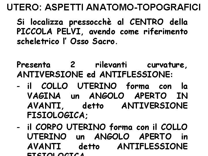 UTERO: ASPETTI ANATOMO-TOPOGRAFICI Si localizza pressocchè al CENTRO della PICCOLA PELVI, avendo come riferimento