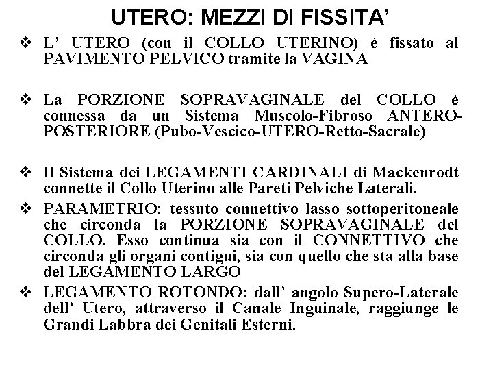 UTERO: MEZZI DI FISSITA’ v L’ UTERO (con il COLLO UTERINO) è fissato al