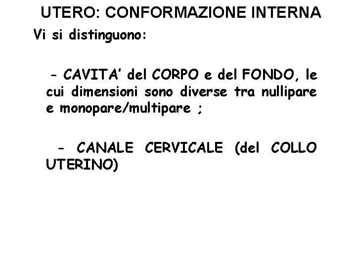 UTERO: CONFORMAZIONE INTERNA Vi si distinguono: - CAVITA’ del CORPO e del FONDO, le