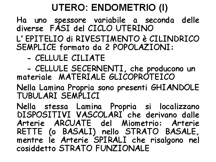 UTERO: ENDOMETRIO (I) Ha uno spessore variabile a seconda delle diverse FASI del CICLO