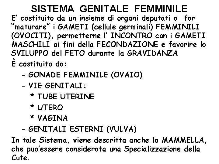 SISTEMA GENITALE FEMMINILE E’ costituito da un insieme di organi deputati a far “maturare”