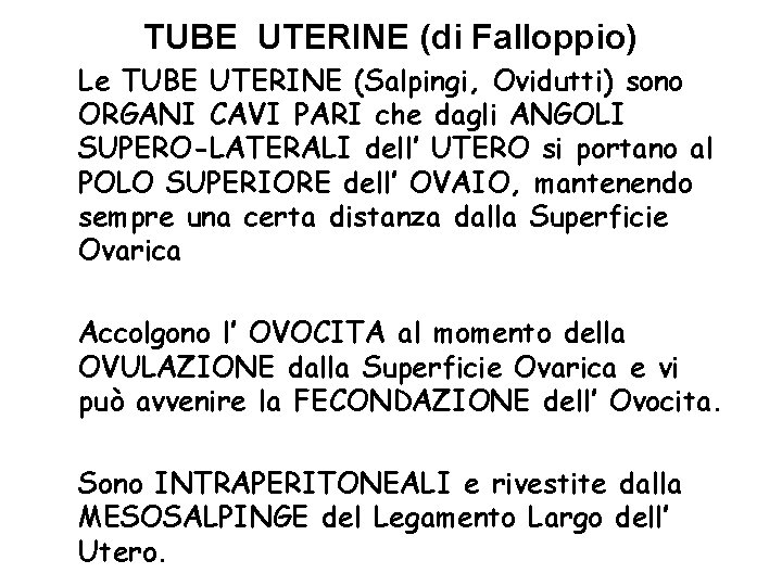 TUBE UTERINE (di Falloppio) Le TUBE UTERINE (Salpingi, Ovidutti) sono ORGANI CAVI PARI che