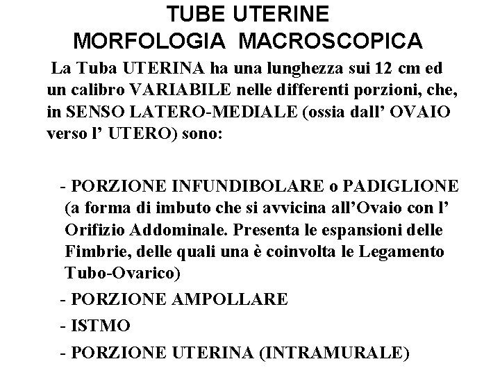 TUBE UTERINE MORFOLOGIA MACROSCOPICA La Tuba UTERINA ha una lunghezza sui 12 cm ed